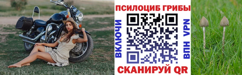 Псилоцибиновые грибы MAGIC MUSHROOMS  купить наркотик  Белая Калитва 
